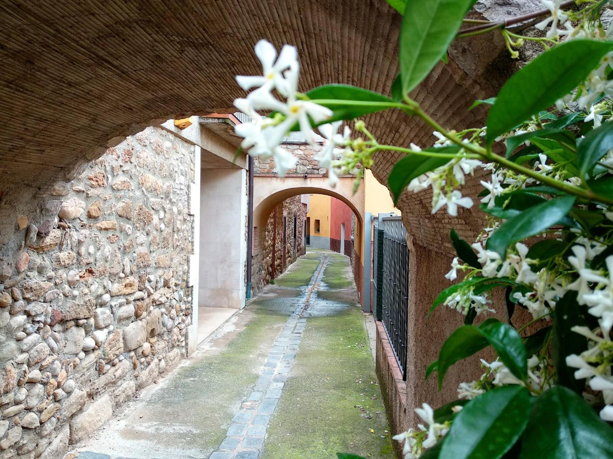 Can Girmas Casa De Turisme Rural Navata Zewnętrze zdjęcie